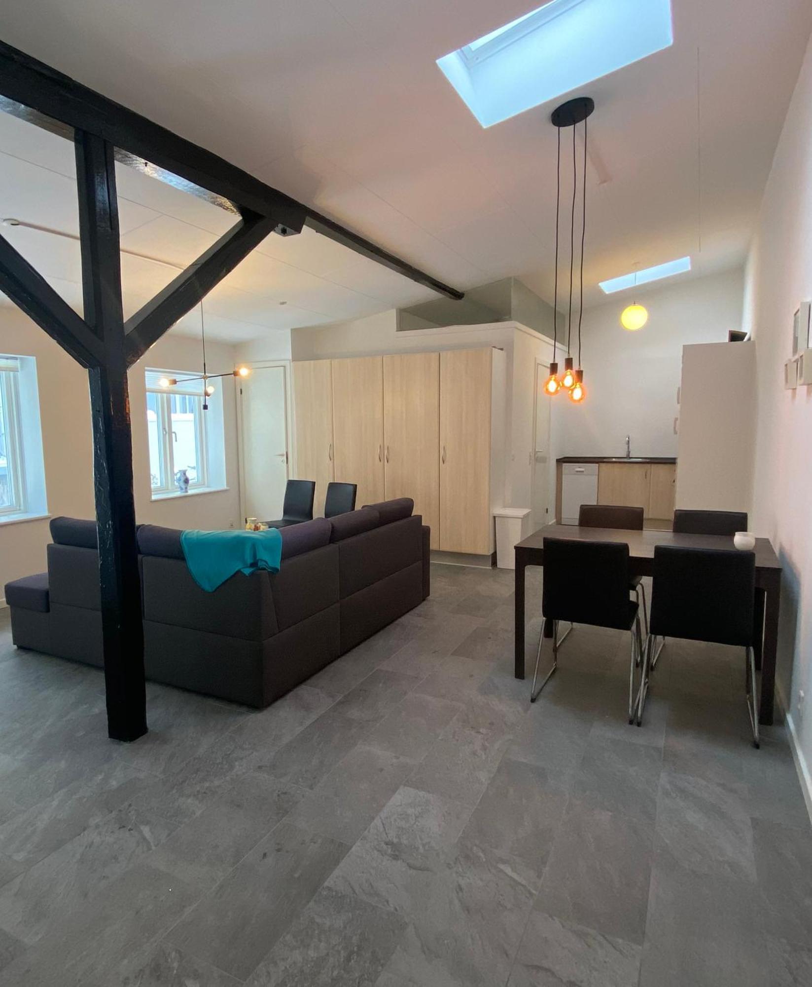 Charming - Luxurious 1 Bedroom In The Heart Of Appartement Aalborg